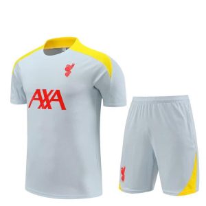 Hauts Et Tee-Shirts  Homme | Liverpool Fc Strike 3E Tenue Hauts Et Tee-Shirts Chrome Yellow